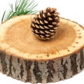 Virginian Cedar
